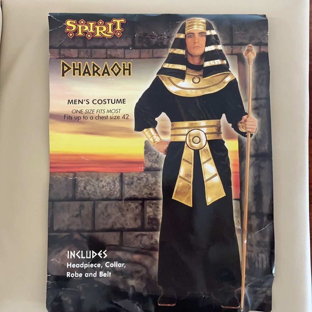 SPIRIT HALLOWEEN Men’s Pharaoh costume